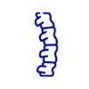 Espalda / Lumbar